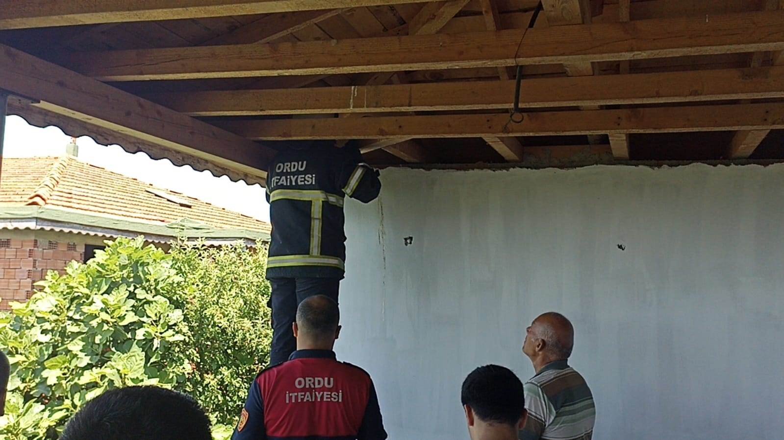 İTFAİYE EKİPLERİ YAVRU KEDİ VE BAYKUŞLAR İÇİN SEFERBER OLDU